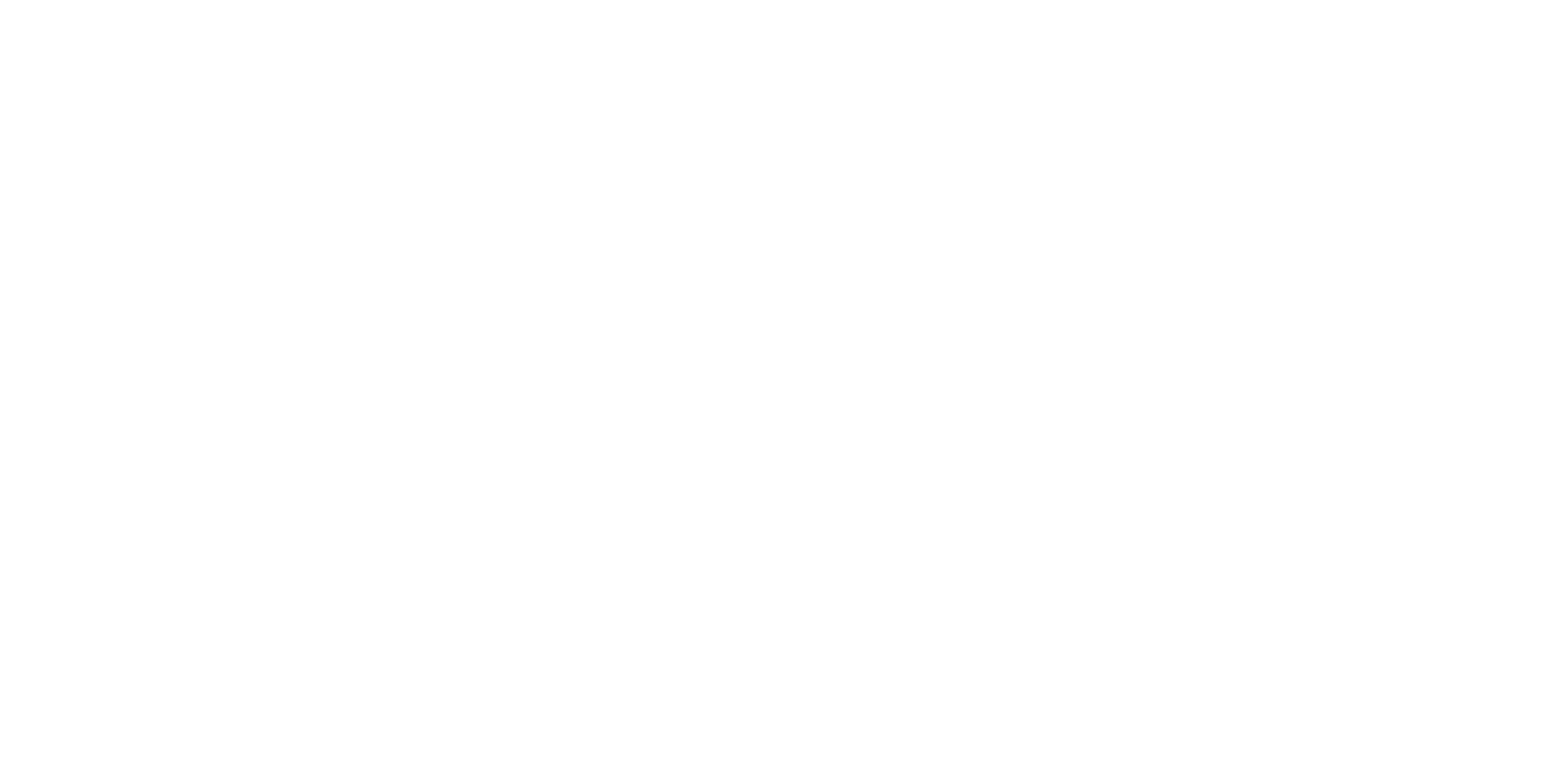 riv-it IT Solutions